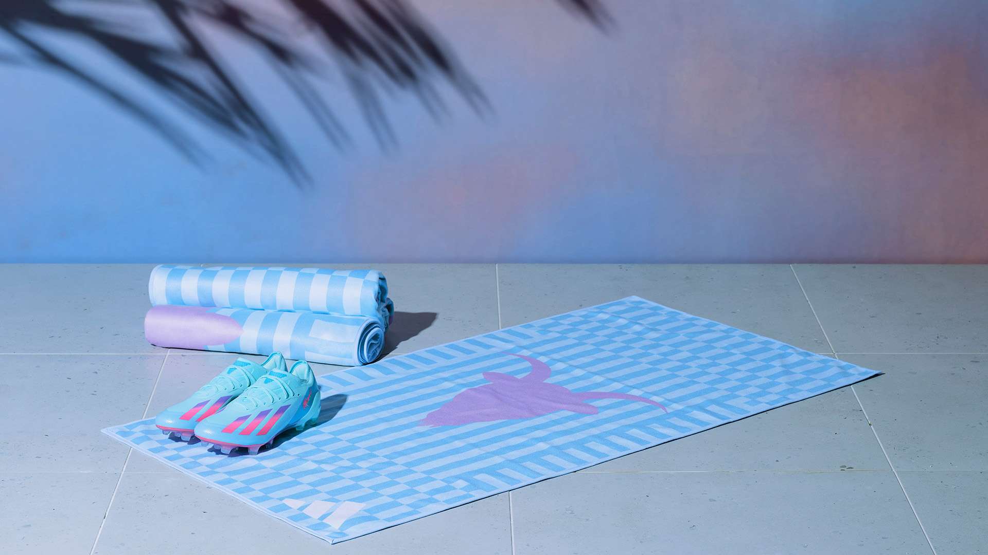 冠信念的传 冠信念的传