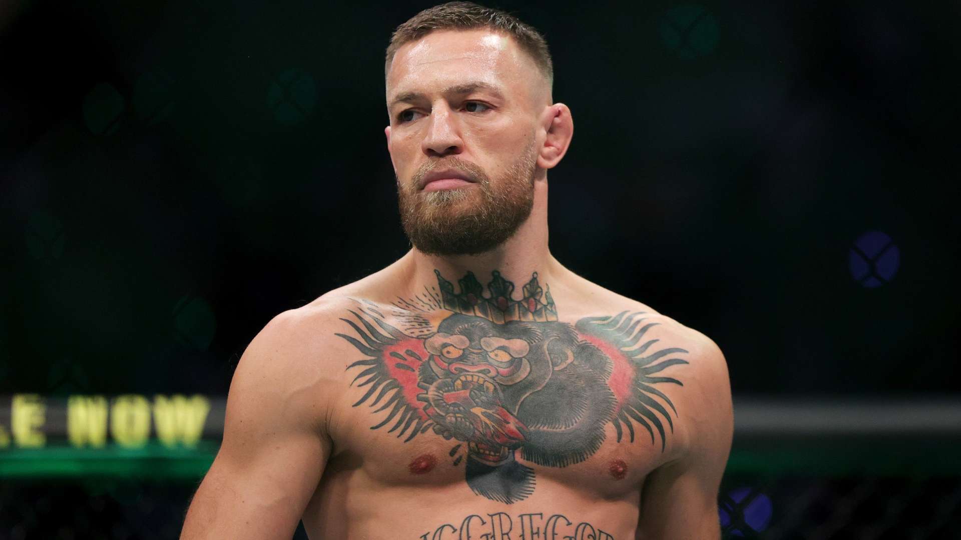 高的项目 高的项目